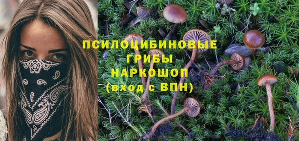метадон Абинск
