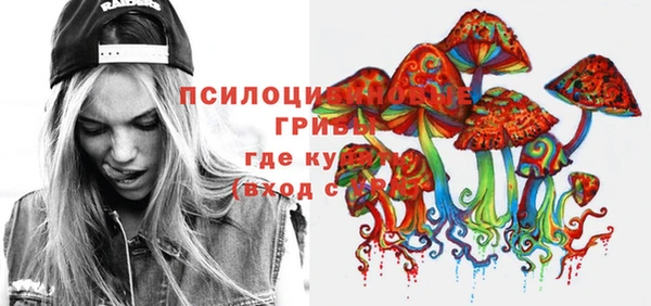 кокс Алексин