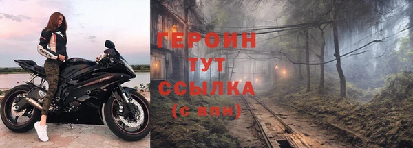 индика Ельня